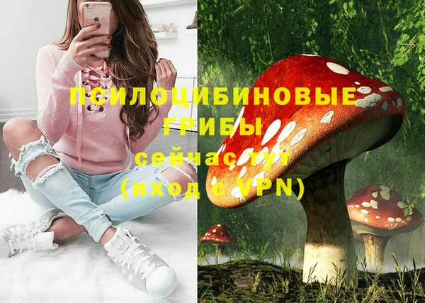 дурь Гусев